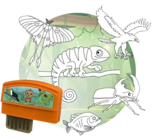 כרטיס ג׳ונגל smART Sketcher® 2.0 מבט קדמי
